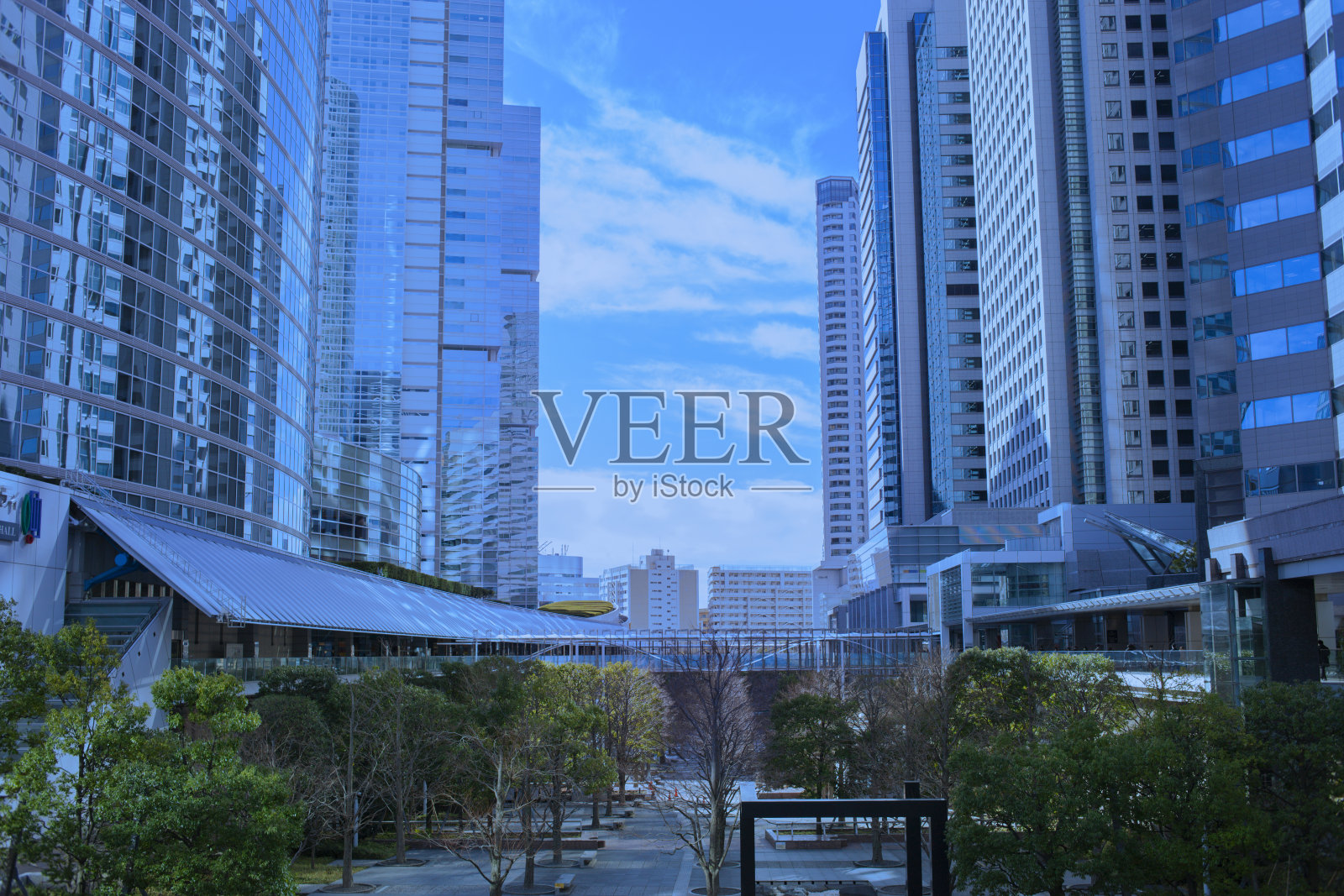 办公楼和绿树照片摄影图片