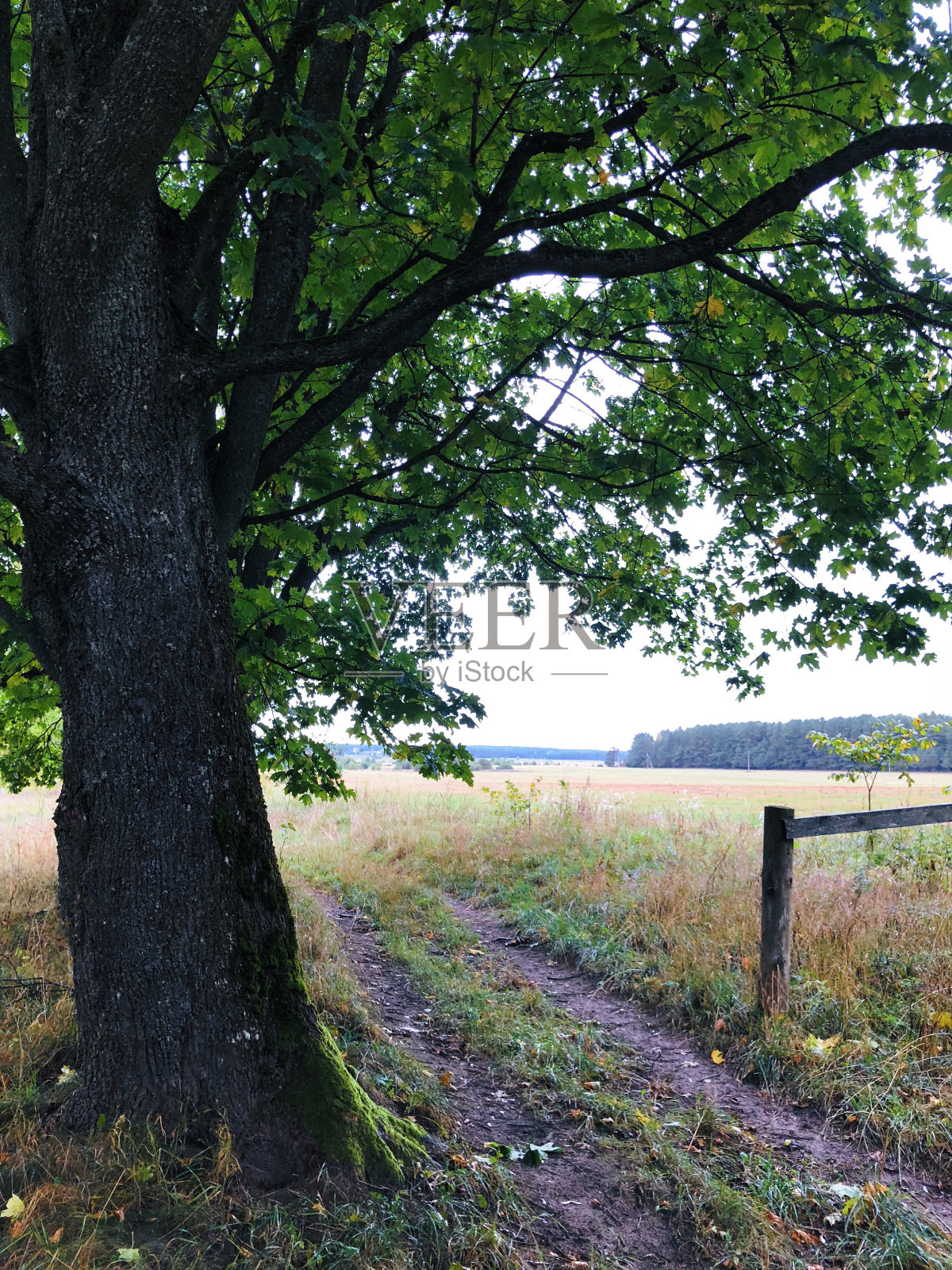 景观照片摄影图片