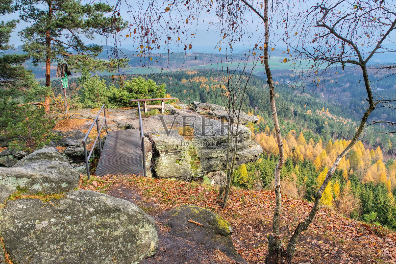 从德国易北河砂岩山脉的卡兹费尔斯山上看风景照片摄影图片