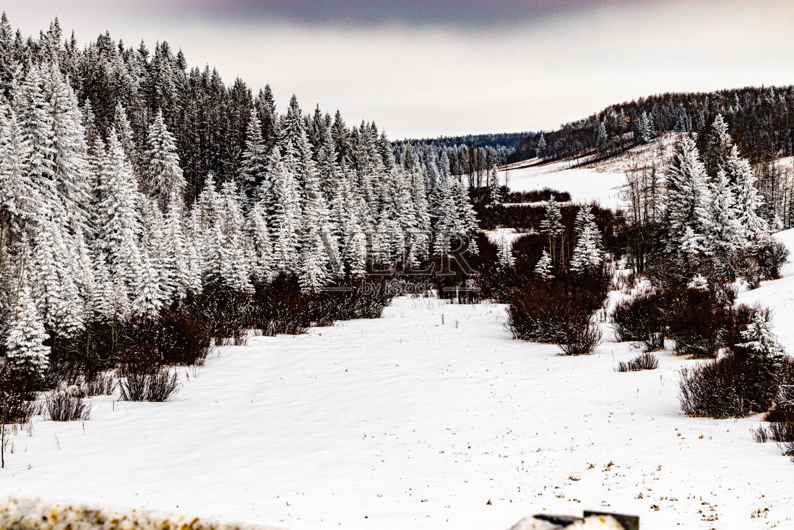 冬天开车穿过冬日仙境,山景县,阿尔伯塔,加拿大照片摄影图片