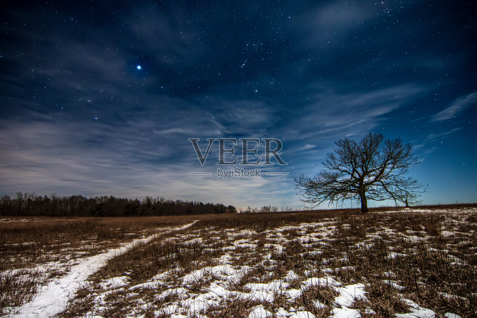 雪鹿小径照片摄影图片