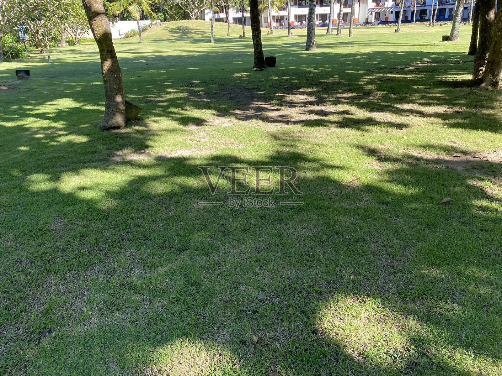 靠近海滩的绿化花园和小径。照片摄影图片