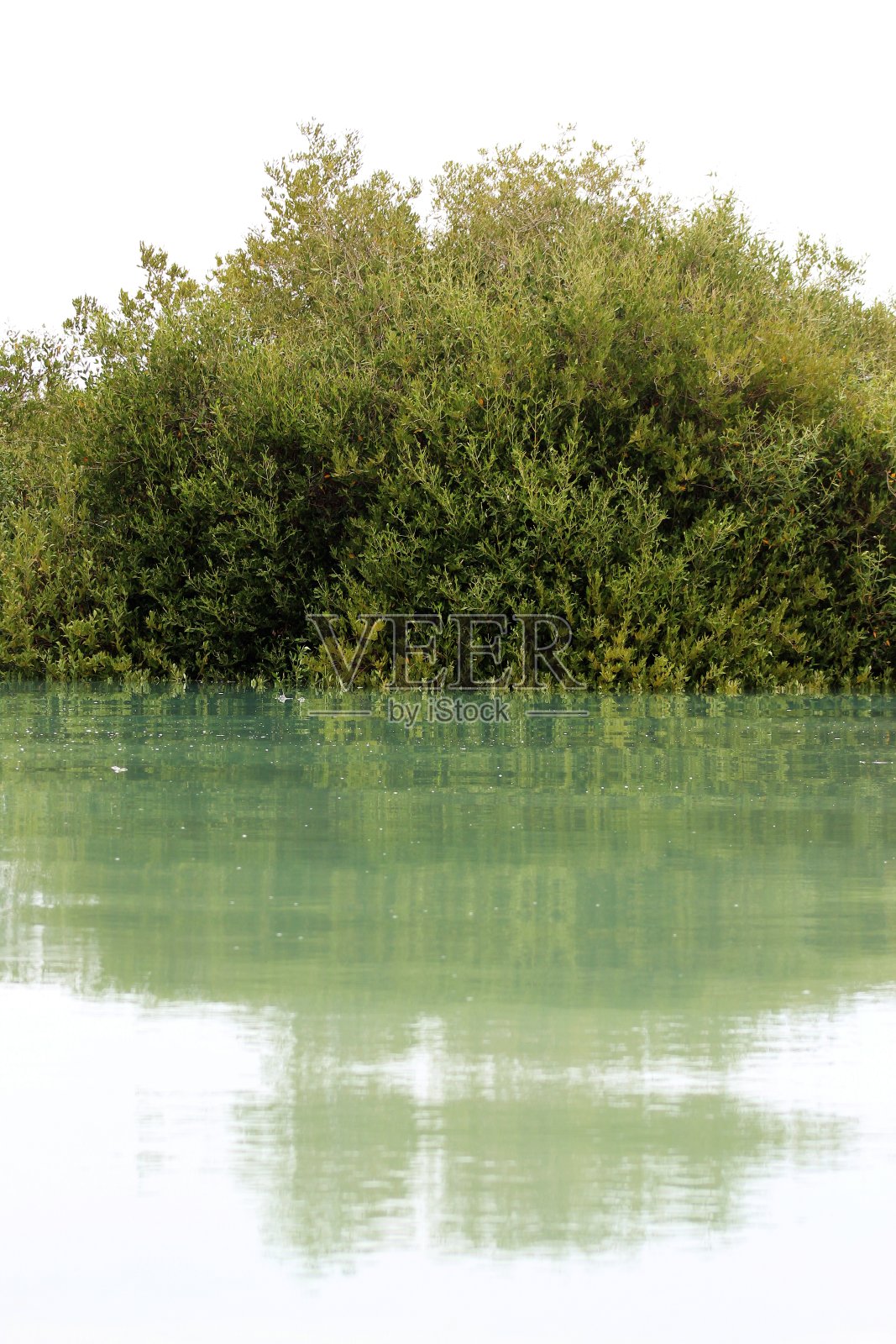 伊朗格什姆岛哈拉红树林照片摄影图片