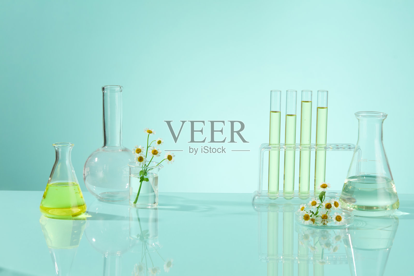 少数装有明黄色液体的试管、烧瓶和沸瓶中均有透明液体。用于化妆品研究或雏菊提取物制成产品的实验室概念照片摄影图片