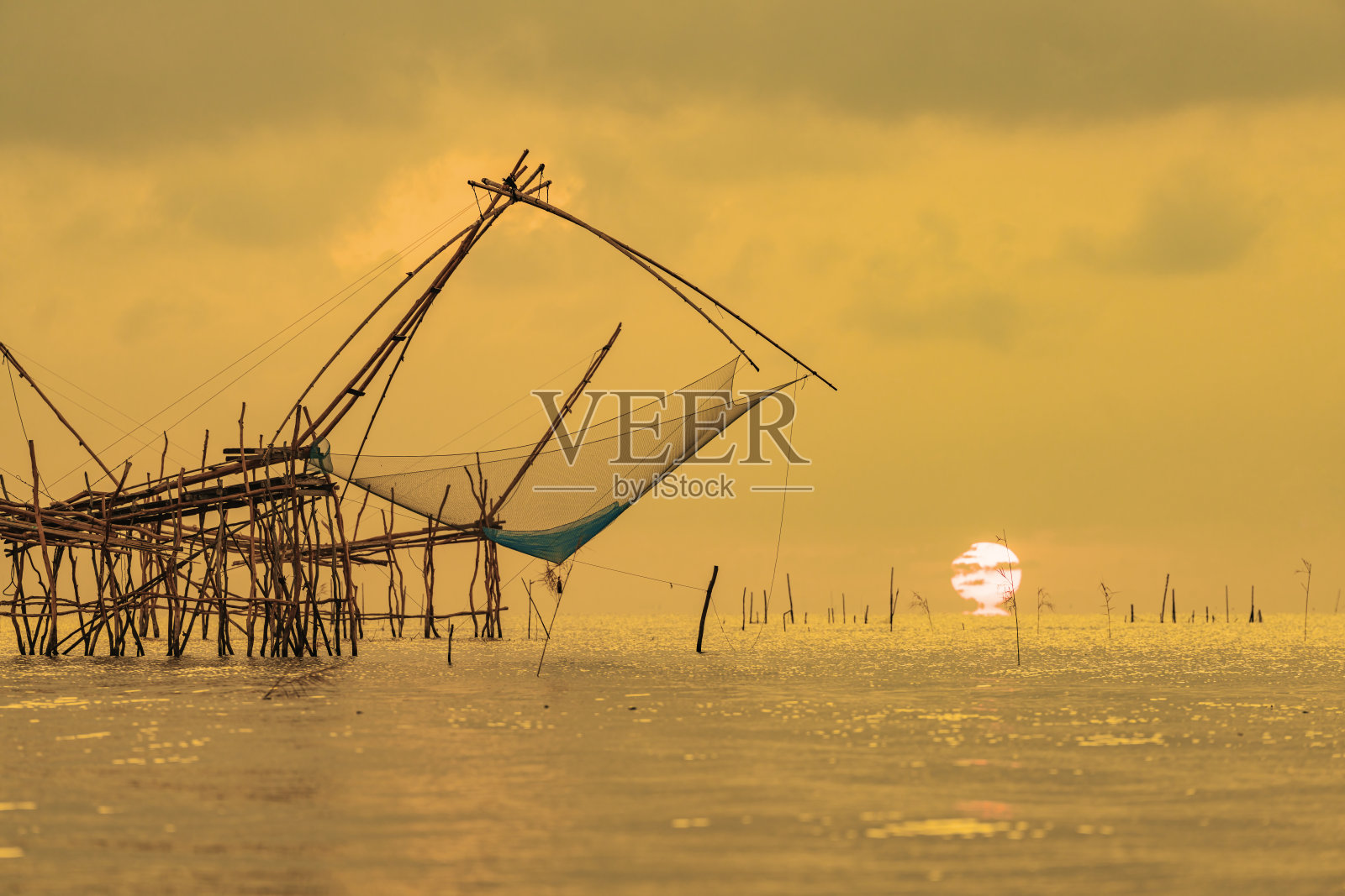 你的牦牛或泰国巨型渔具与金色的晨光,和美丽的日出景色在帕普拉运河,泰国,Phatthalung。照片摄影图片