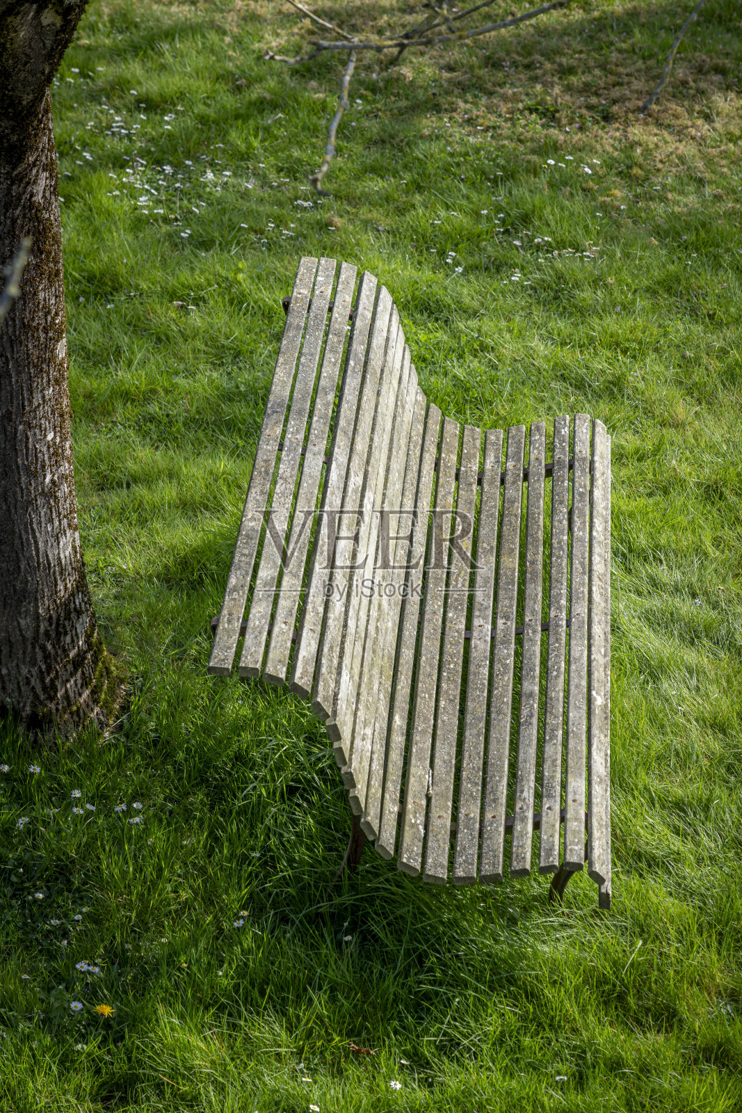 Alencon,法国- 20202024年3月:在诺曼底乡村的绿色花园中,一张旧木凳和一棵核桃树的树干的俯视图照片摄影图片