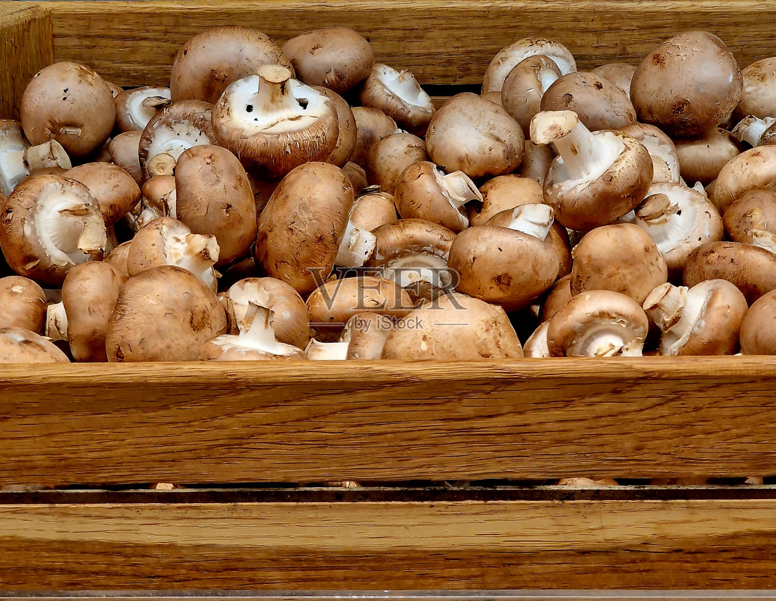 蘑菇躺在盒子里照片摄影图片