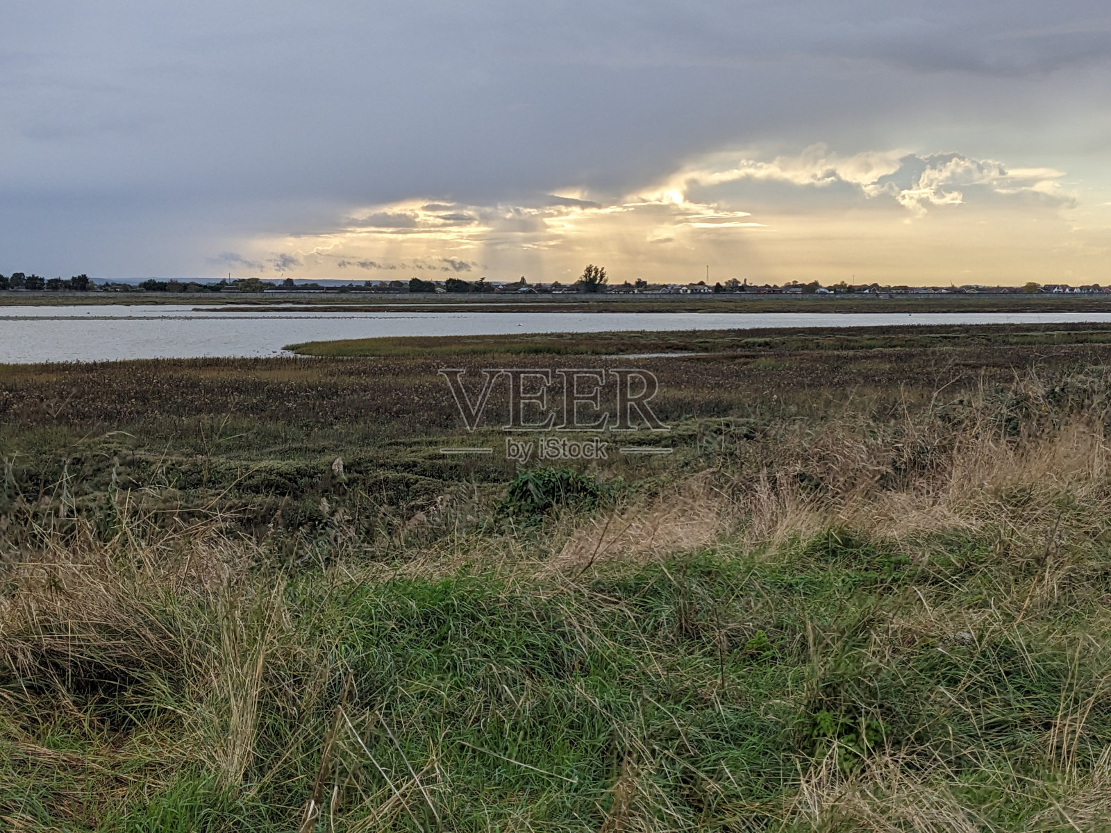 埃塞克斯郡海边利的二树岛照片摄影图片
