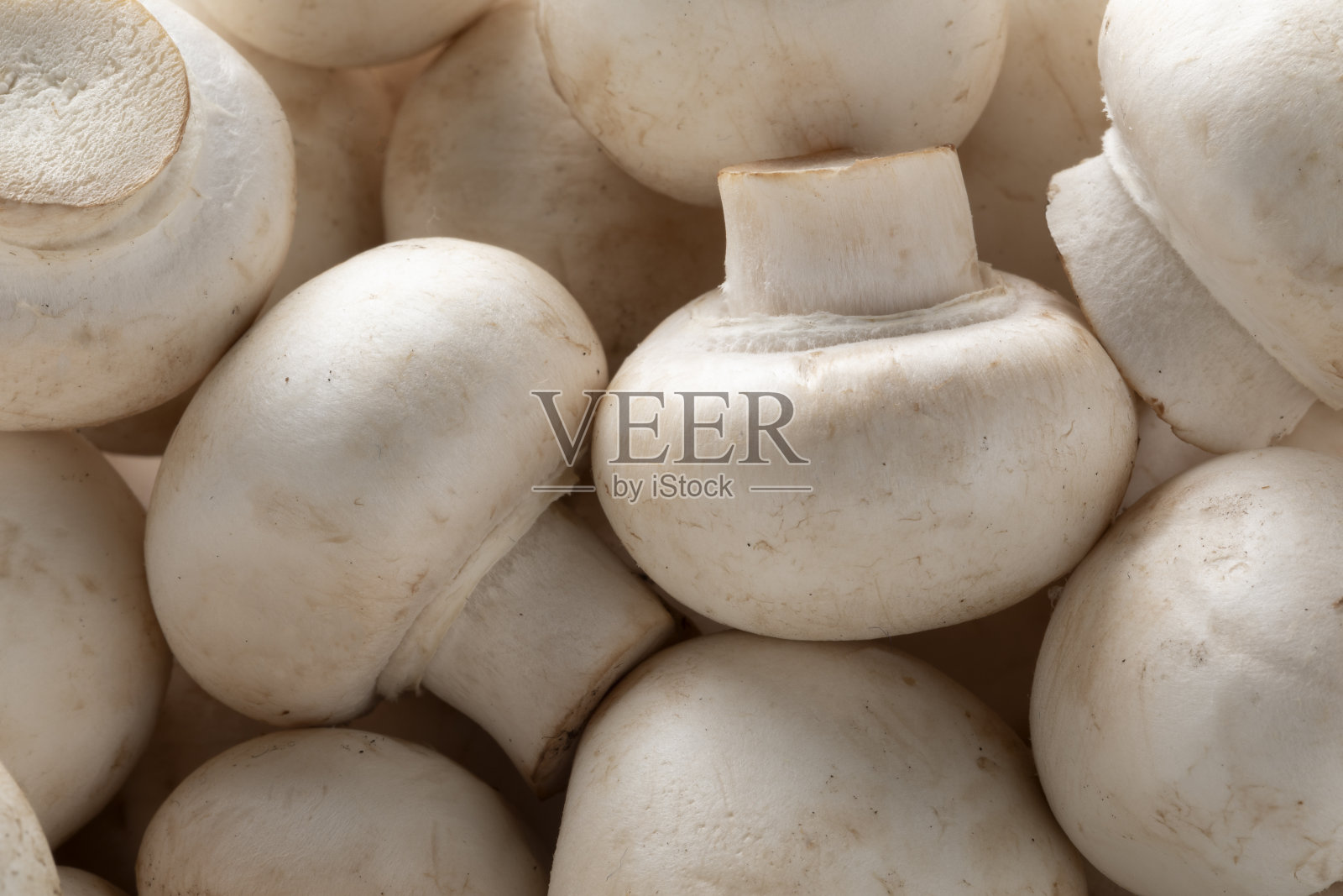 一堆新鲜的冠军,钮扣蘑菇,近距离全帧照片摄影图片