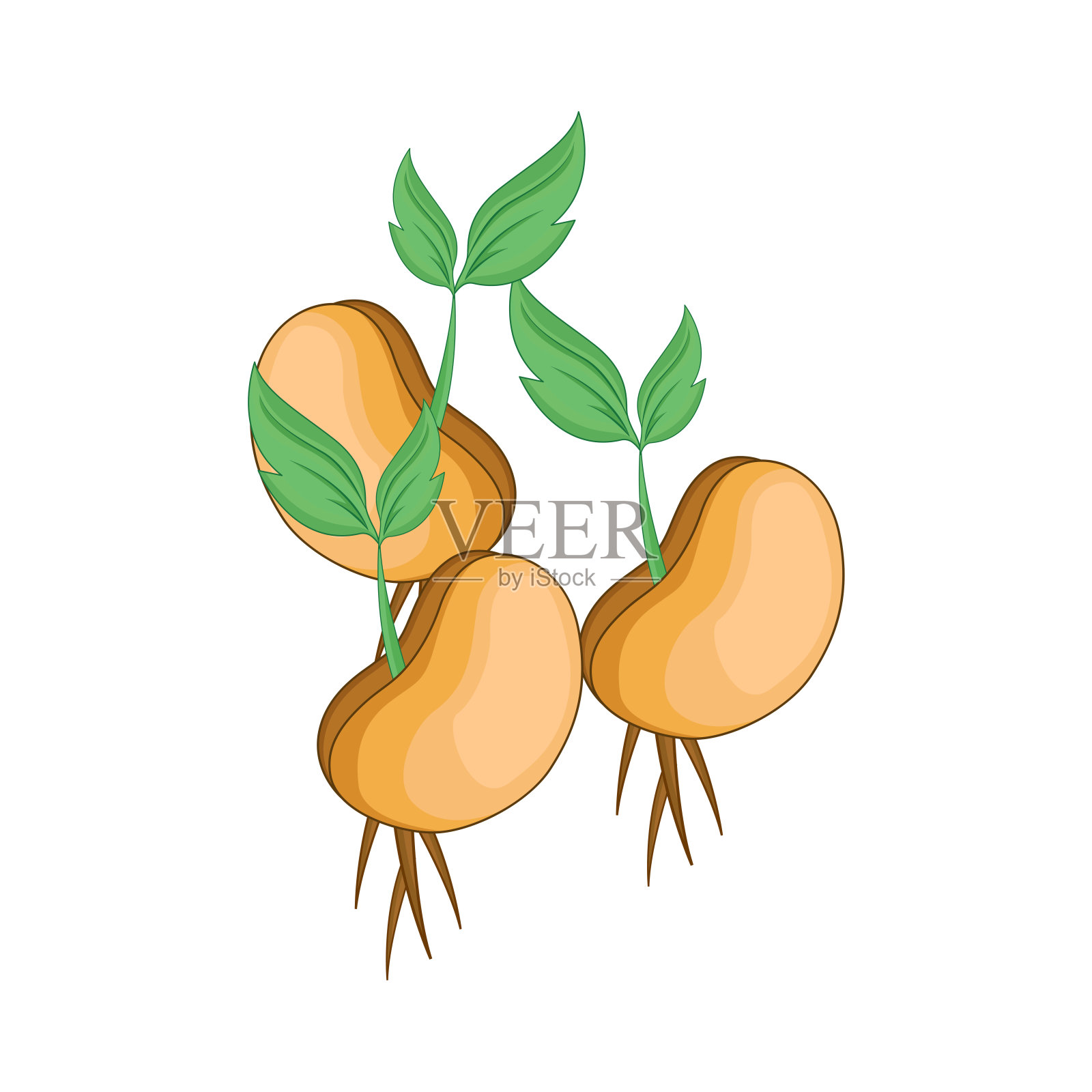 大豆插画图片素材