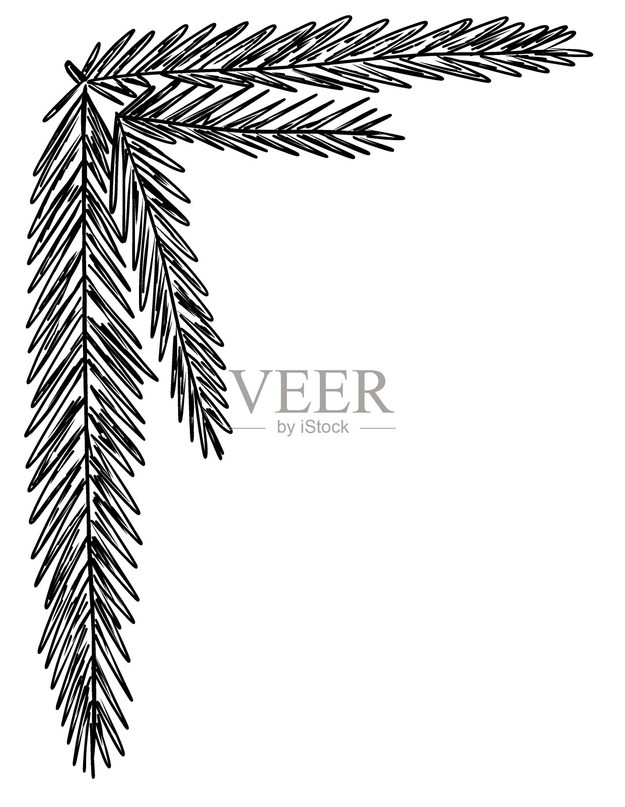 角框与圣诞树树枝在素描风格插画图片素材