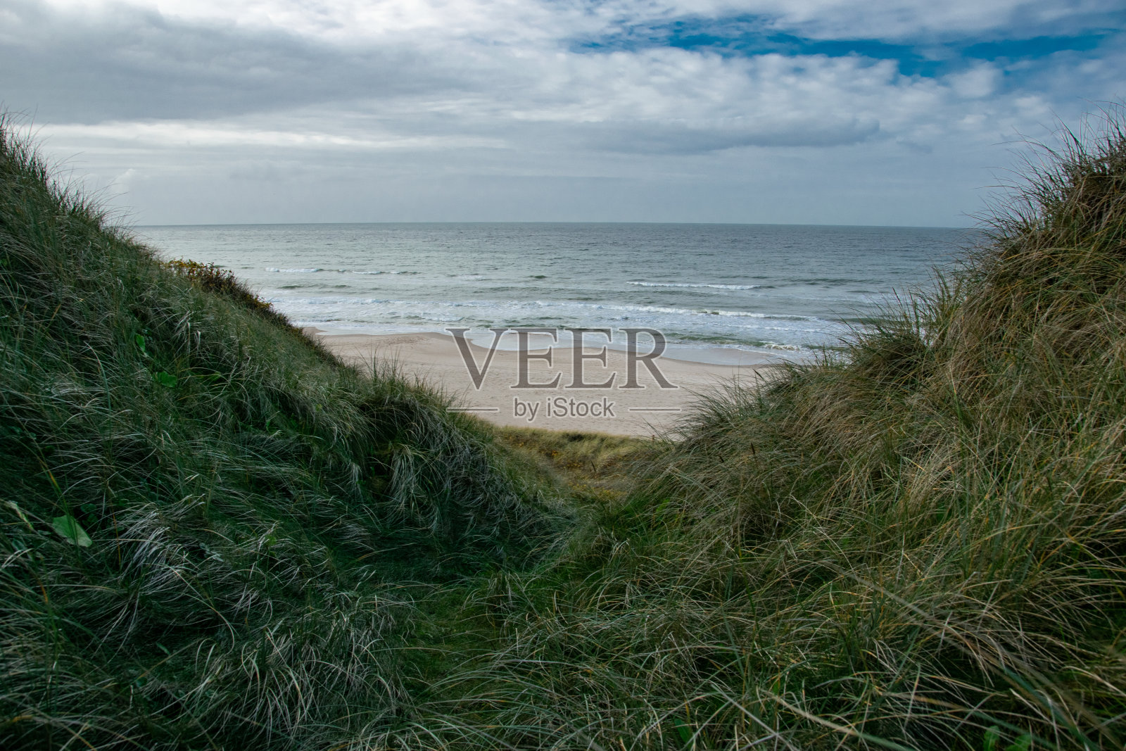 北Jytland的Fyrklit海滩照片摄影图片