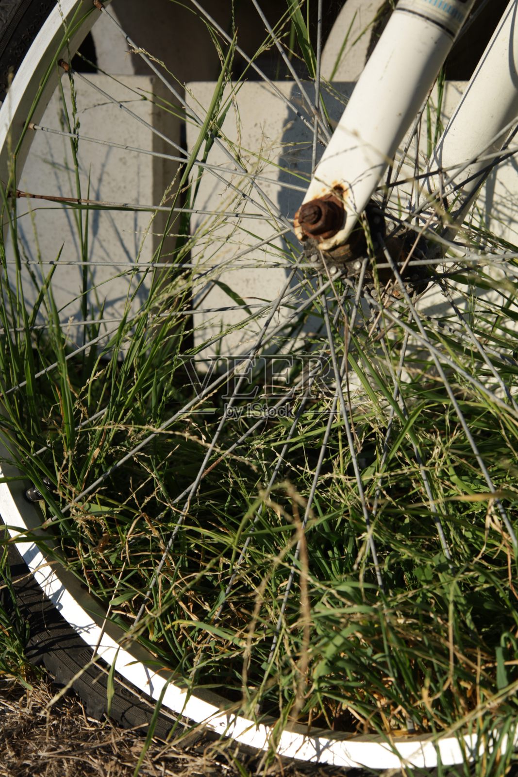 轮照片摄影图片