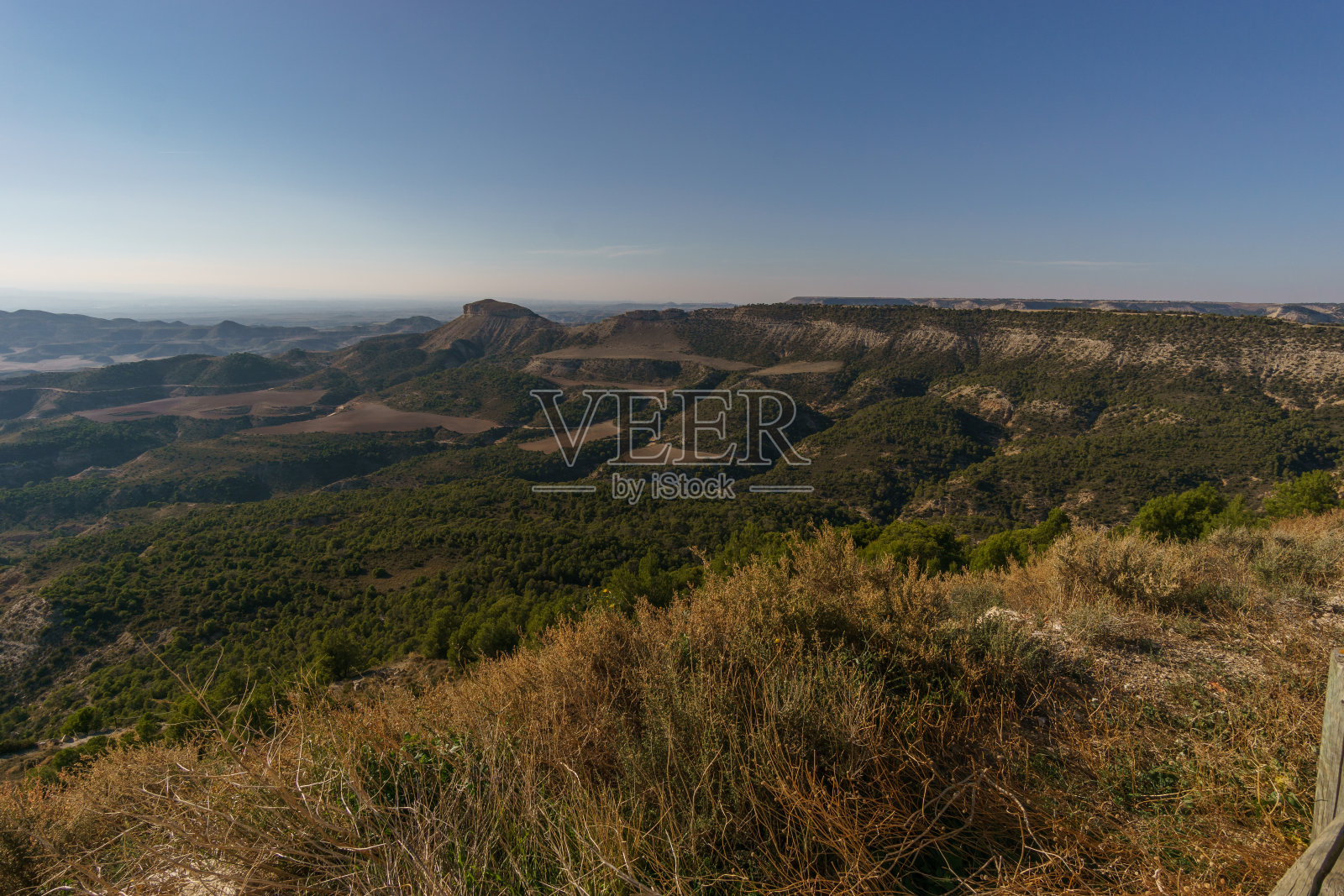 巴德纳内格拉或巴德纳黑沙漠景观与植被巴德纳内莱斯,纳瓦拉,西班牙照片摄影图片
