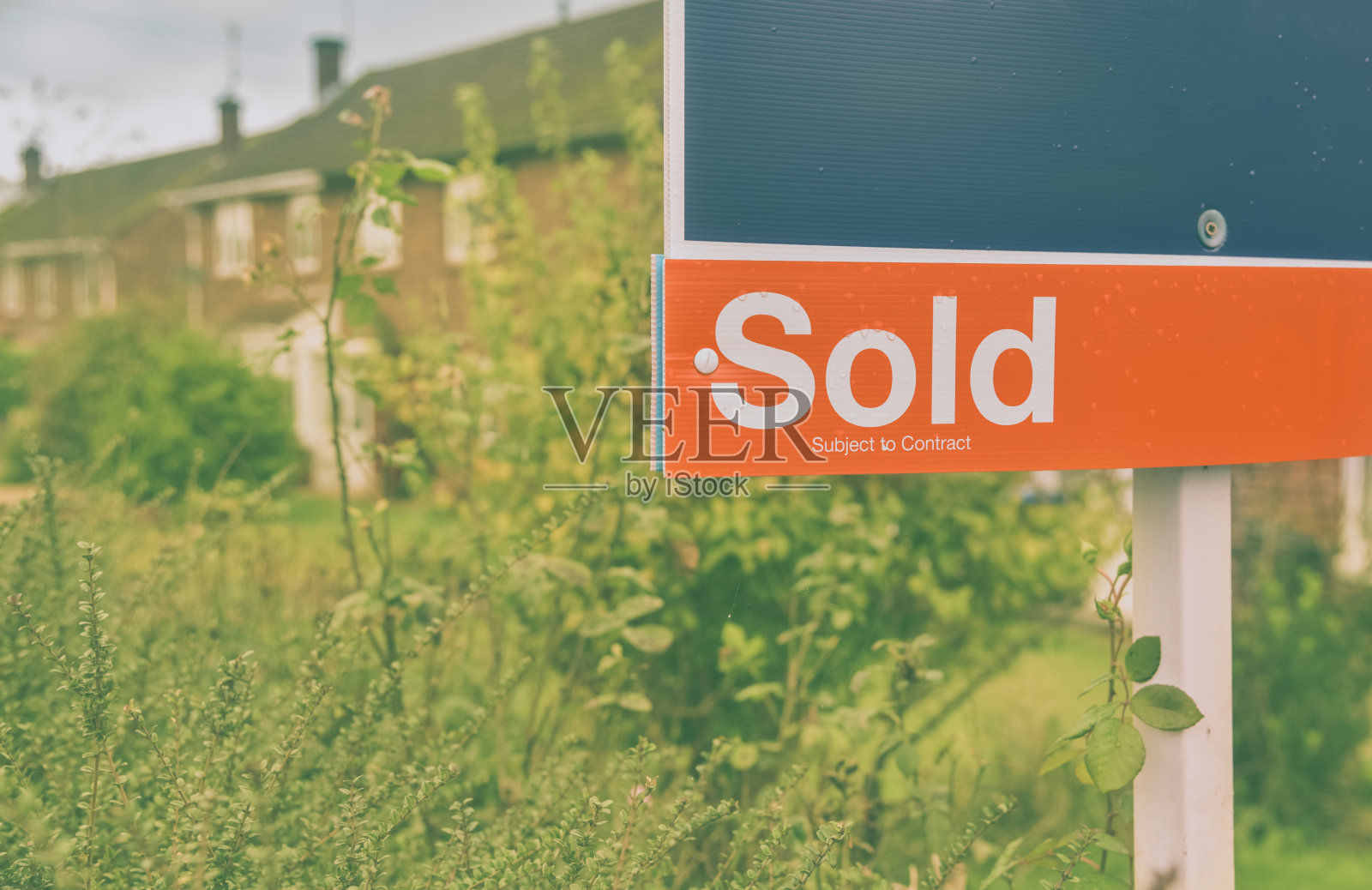 经济增长。房地产市场。照片摄影图片