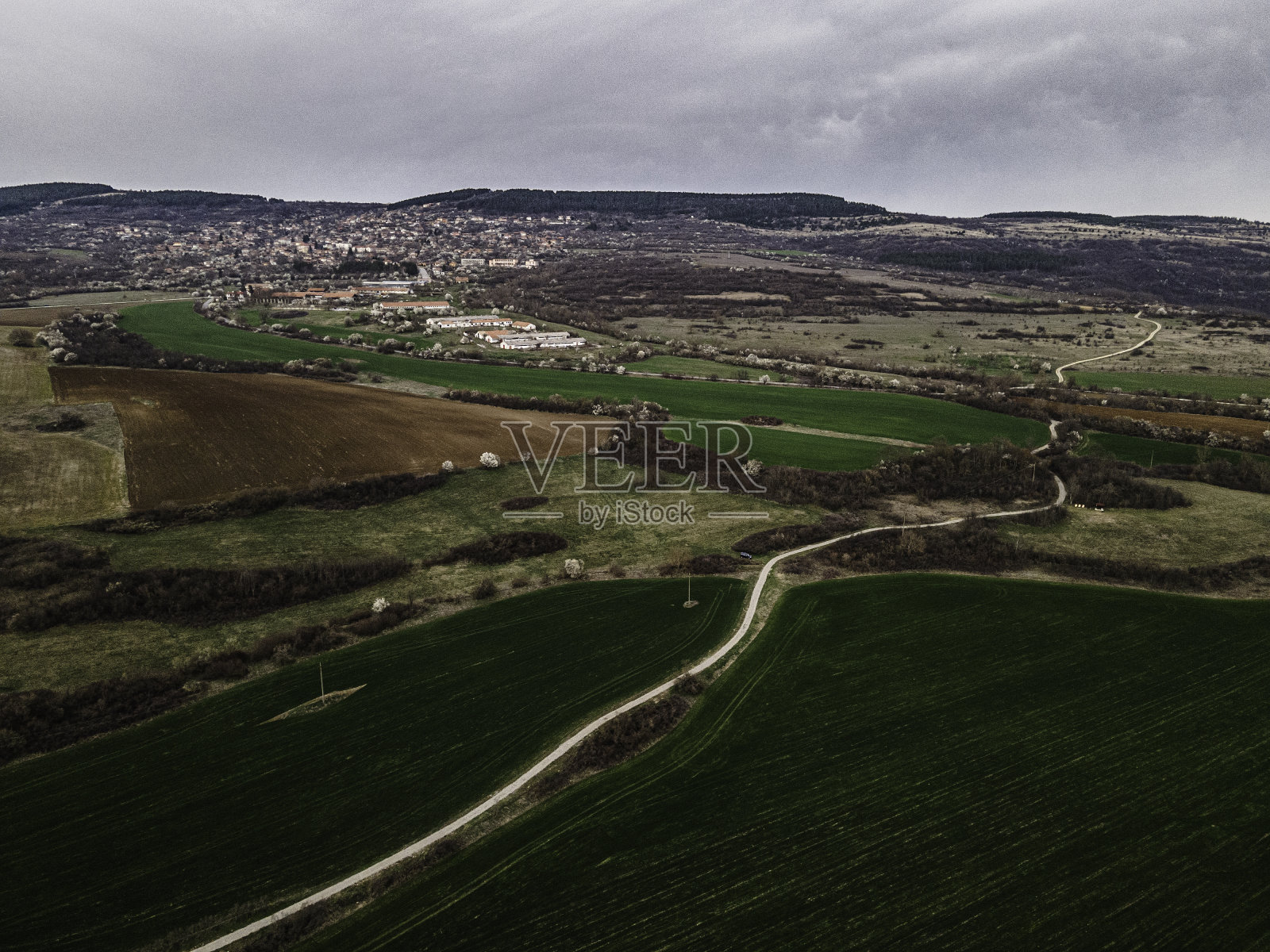 春天绿色的农田鸟瞰图。照片摄影图片
