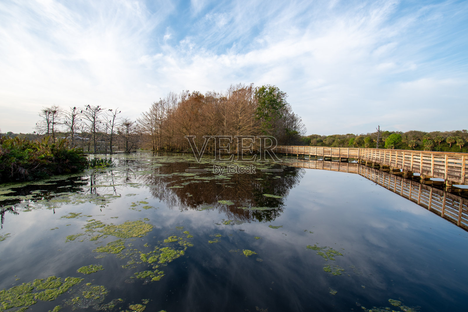 绿茵自然中心湿地上的木板路和日出云景。照片摄影图片
