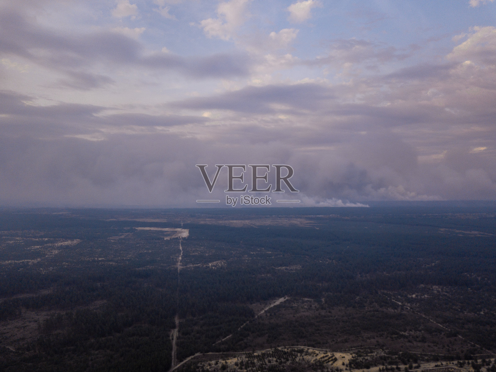 大火后被烧毁的森林和绿色森林的无人机视图照片摄影图片