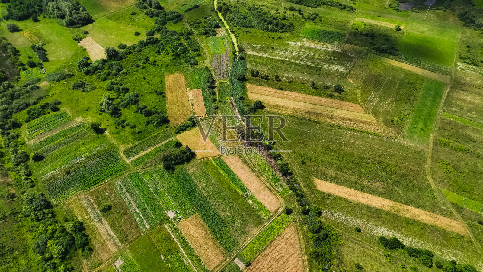 丰收的田野,八月的乡村,田园诗般的美丽鸟瞰图,五彩缤纷的景色照片摄影图片