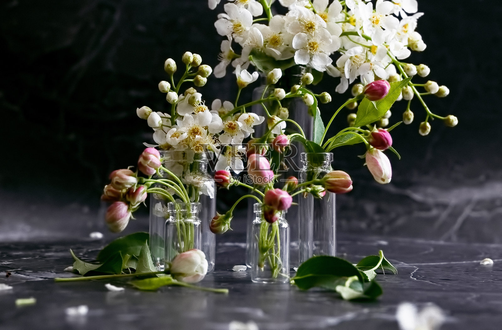 礼品卡与花在一个黑暗的背景照片摄影图片