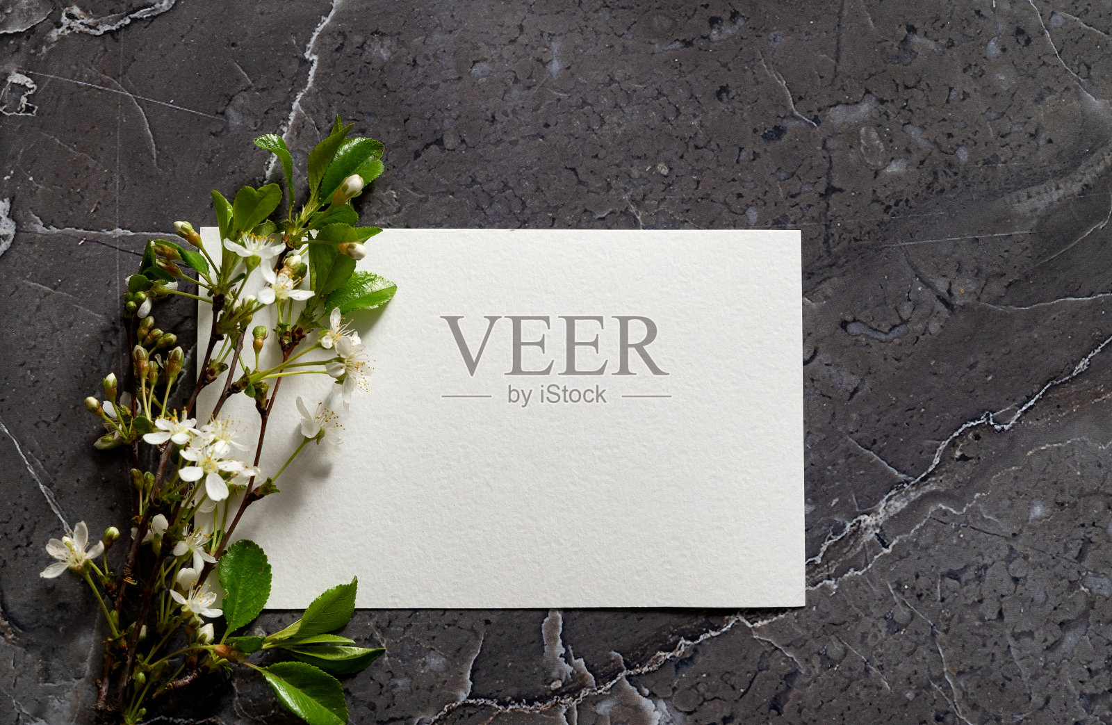 母亲节,情人节,春天的明信片。花组成。框架干玫瑰花在白色的背景。照片摄影图片