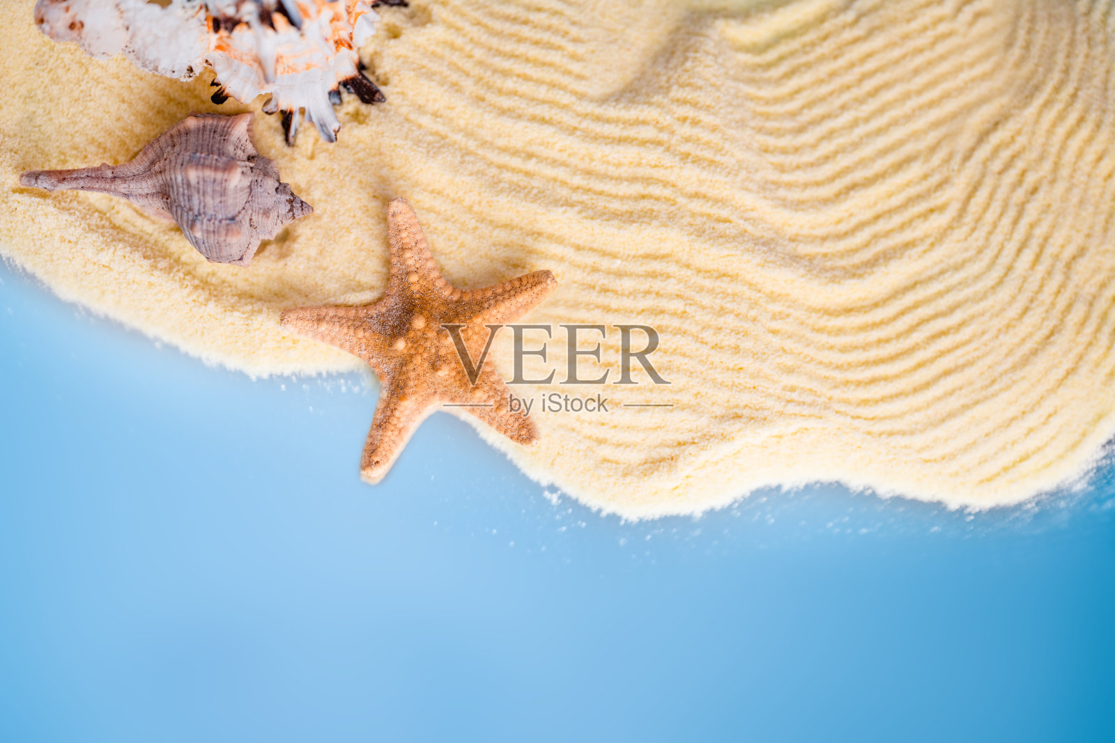 暑假概念。干净的米色沙滩上的海螺和海星照片摄影图片