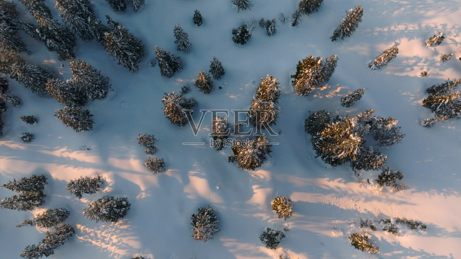 鸟瞰白雪覆盖的森林照片摄影图片