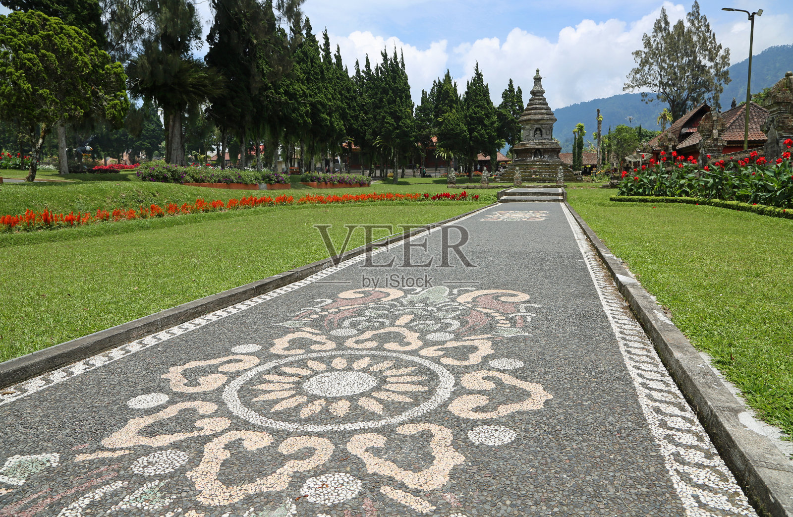 公园里的小巷照片摄影图片