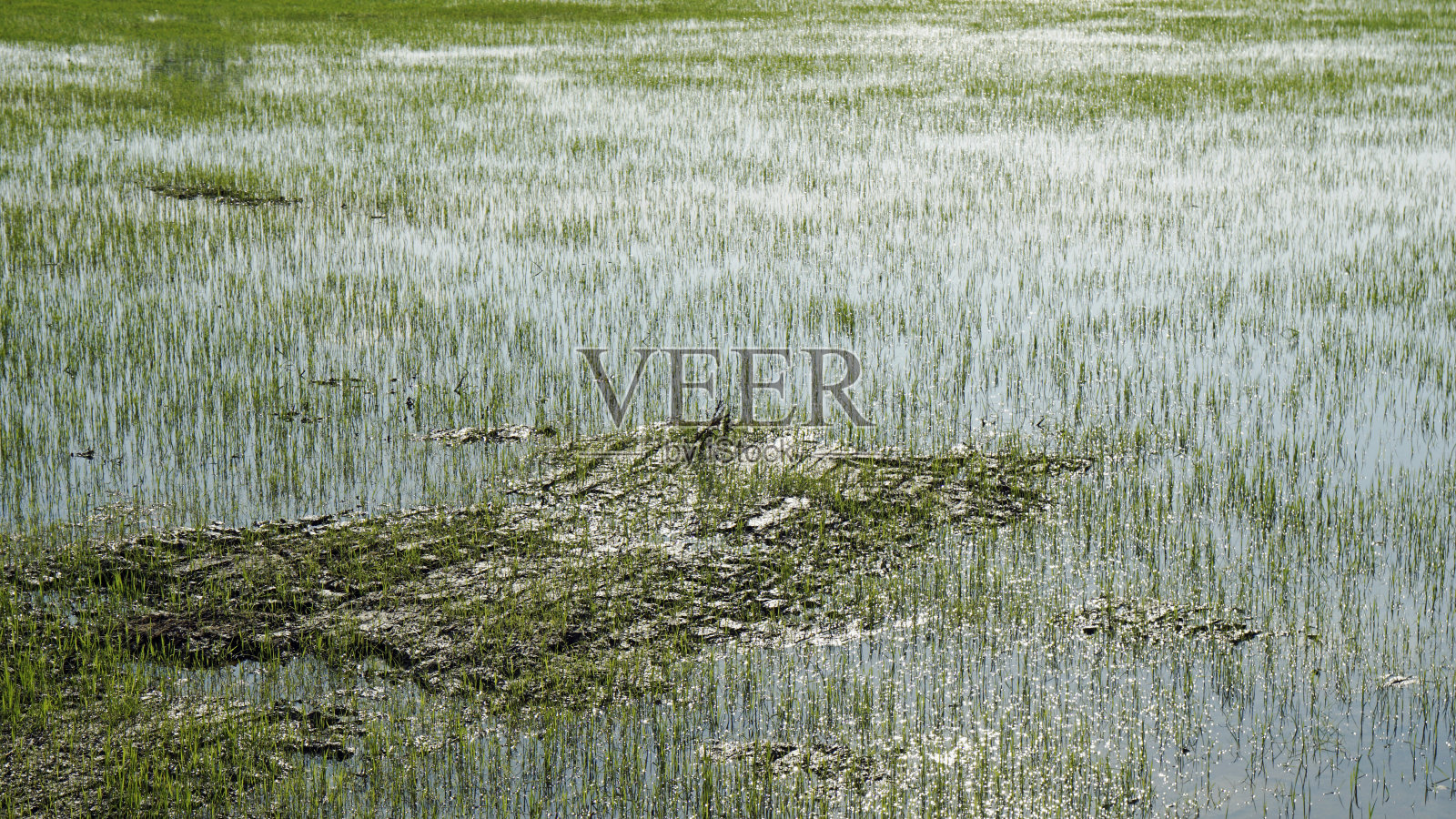 亚洲景观照片摄影图片