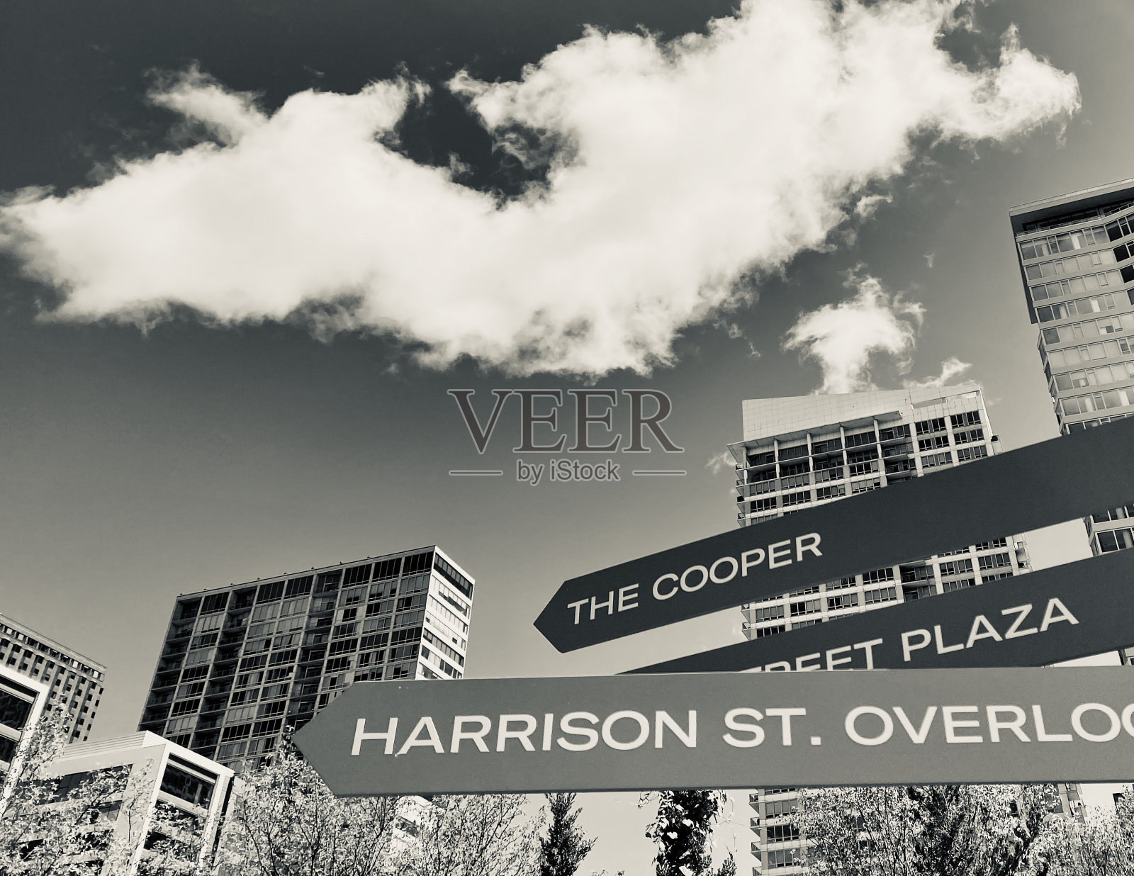 哪条路?照片摄影图片