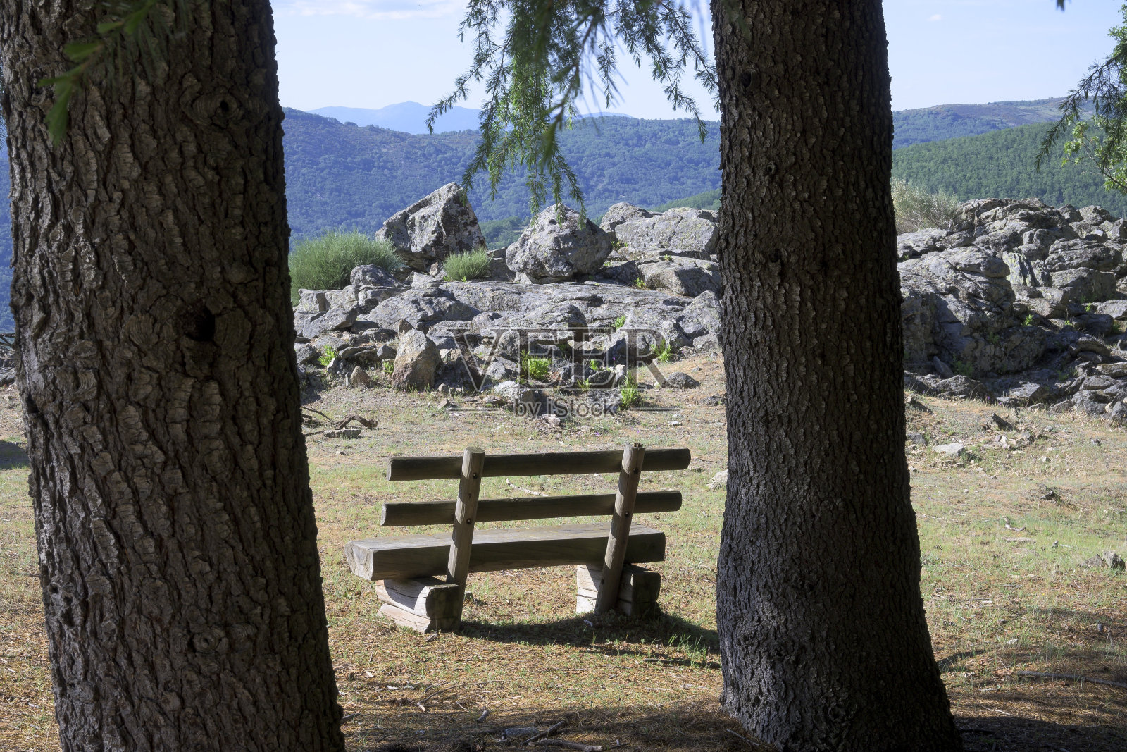 木凳在树木之间的自然阳光水平照片摄影图片