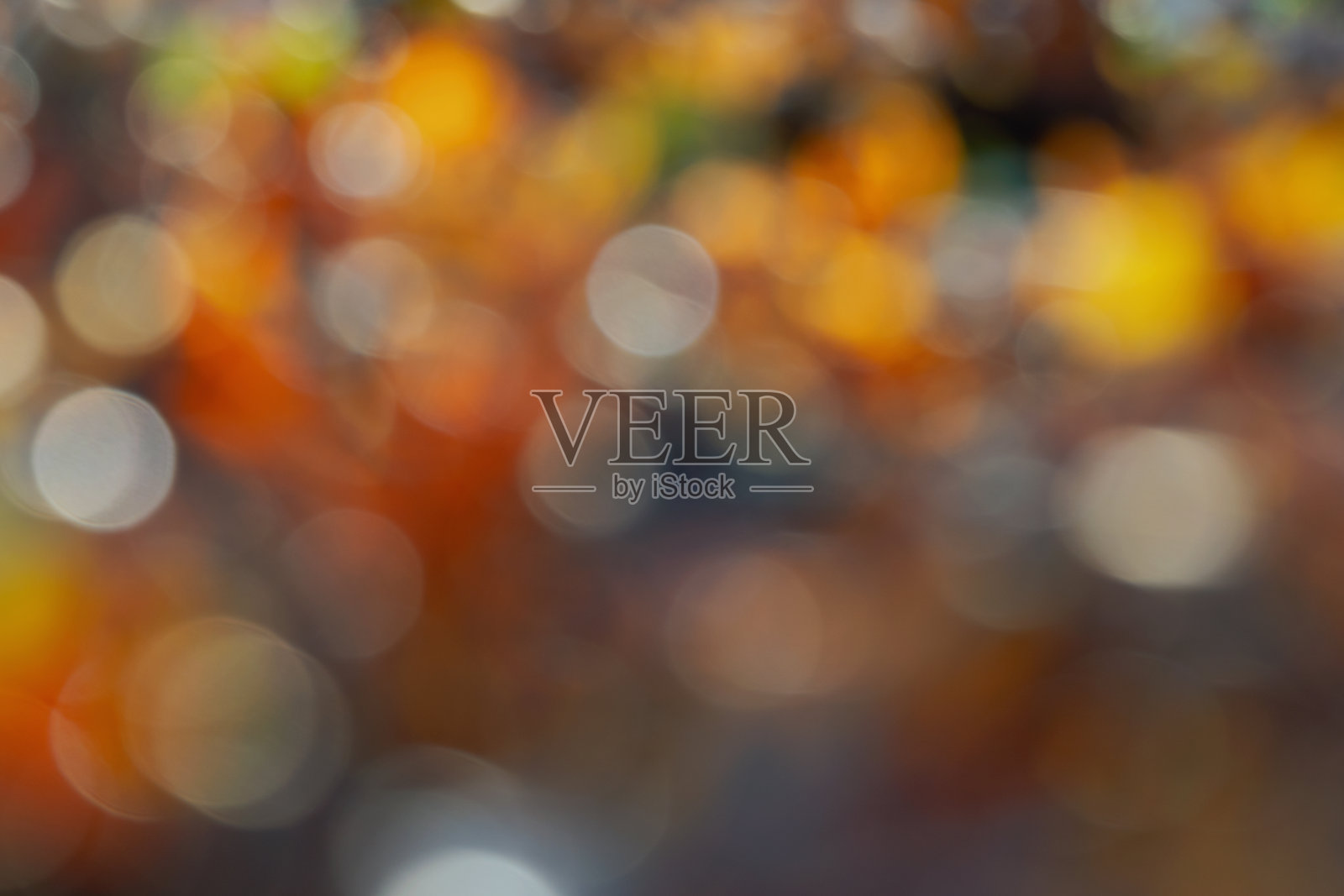 模糊的树叶图像。照片摄影图片