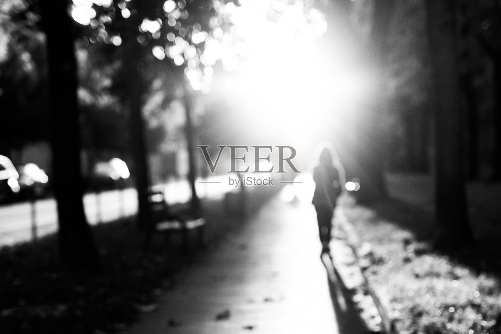 阳光下的人行道照片摄影图片