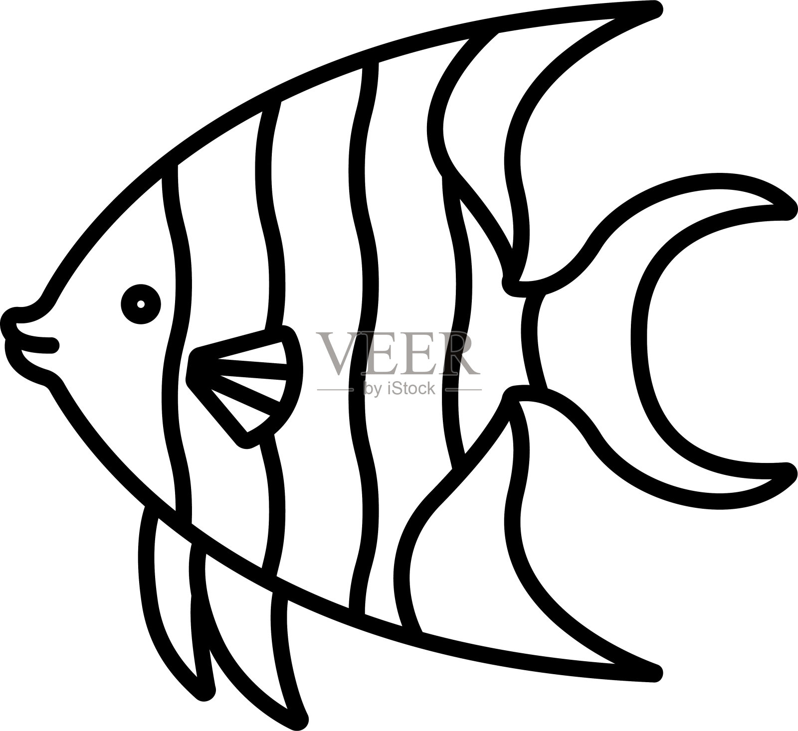 天使鱼轮廓矢量插图插画图片素材