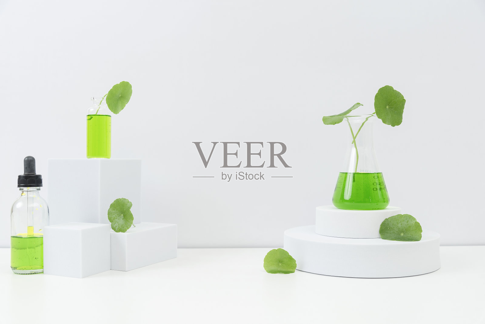 Gotu kula在试管和讲台上装饰照片摄影图片