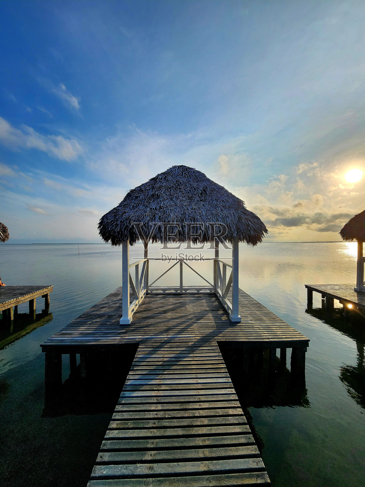 热带景观照片摄影图片