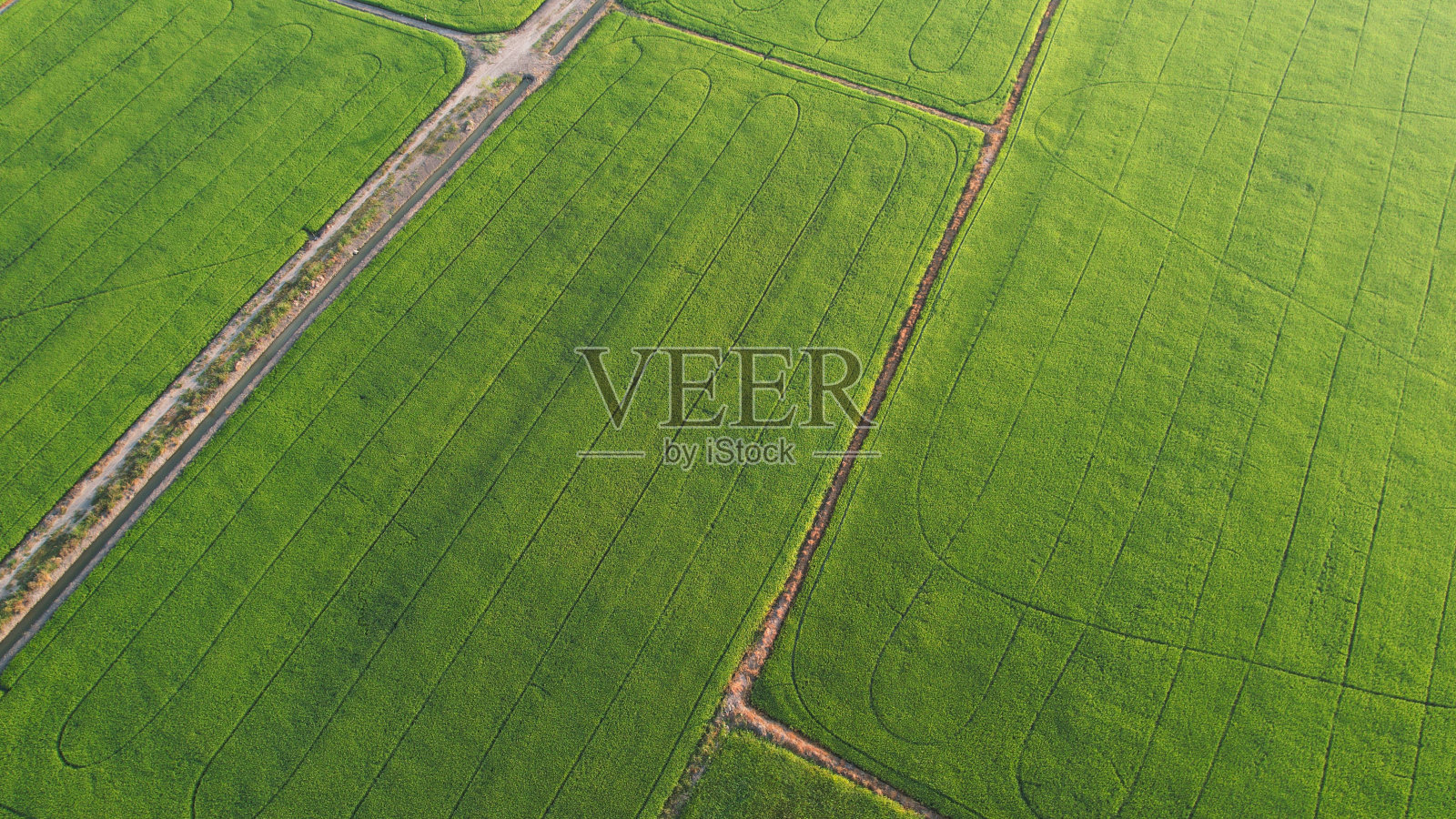 鸟瞰美丽的梯田在一个阳光明媚的日子与无人机灌溉从上面。照片摄影图片