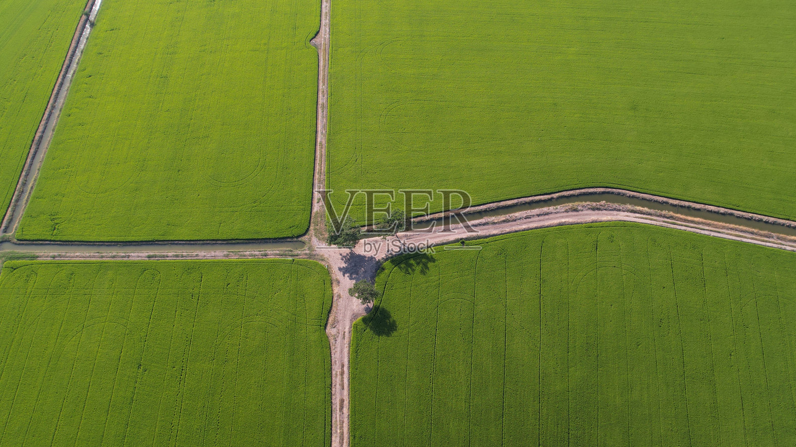 体验前所未有的梯田之美。借助无人机灌溉技术,您可以在阳光明媚的日子从空中俯瞰郁郁葱葱的绿色植物。不要错过这非凡的景色照片摄影图片