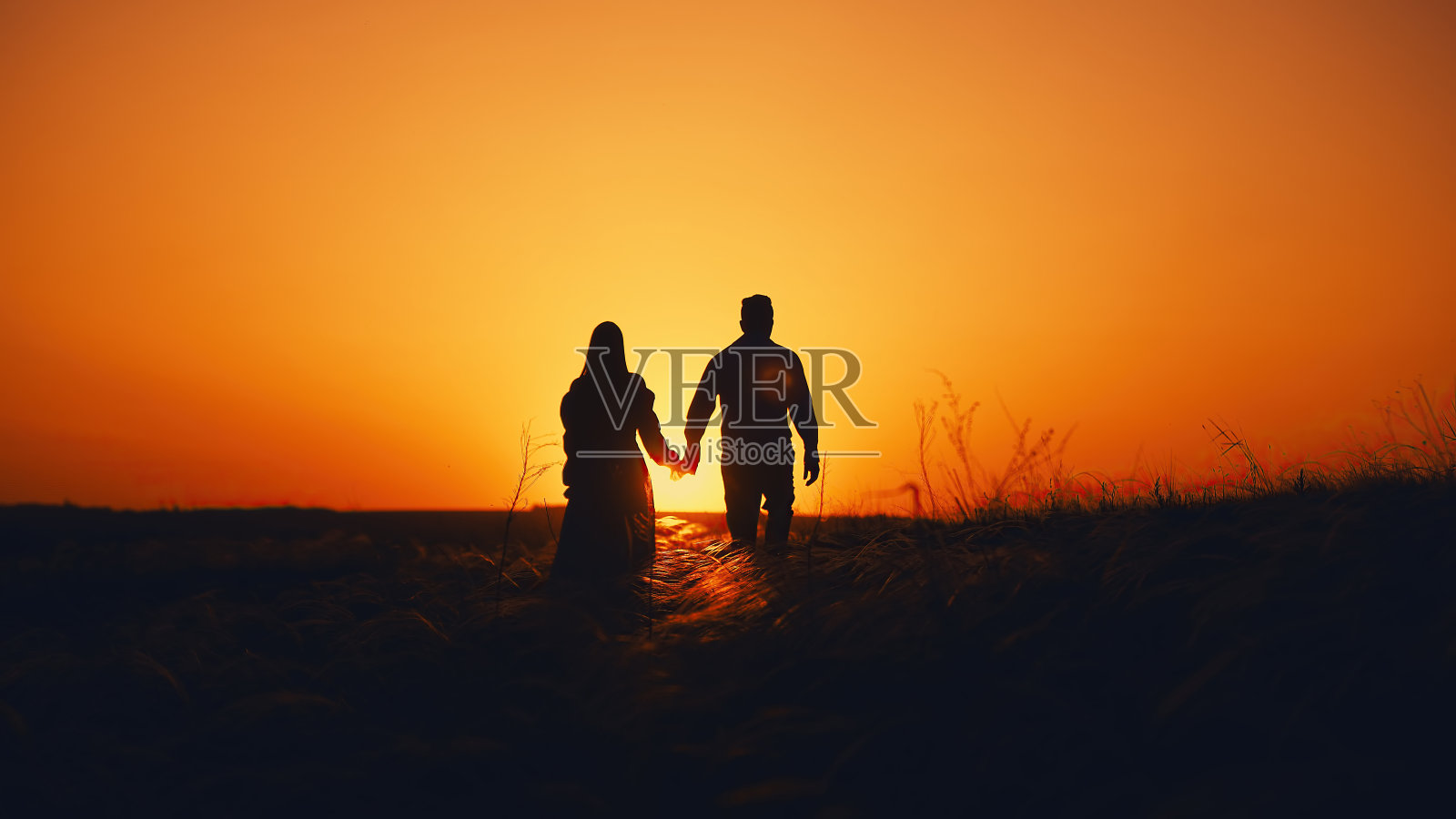 在夕阳的阳光下,一对相爱的情侣在田野里。两个恋人穿过田野的美丽浪漫时刻。爱的概念,两个人的关系和生活方式。照片摄影图片