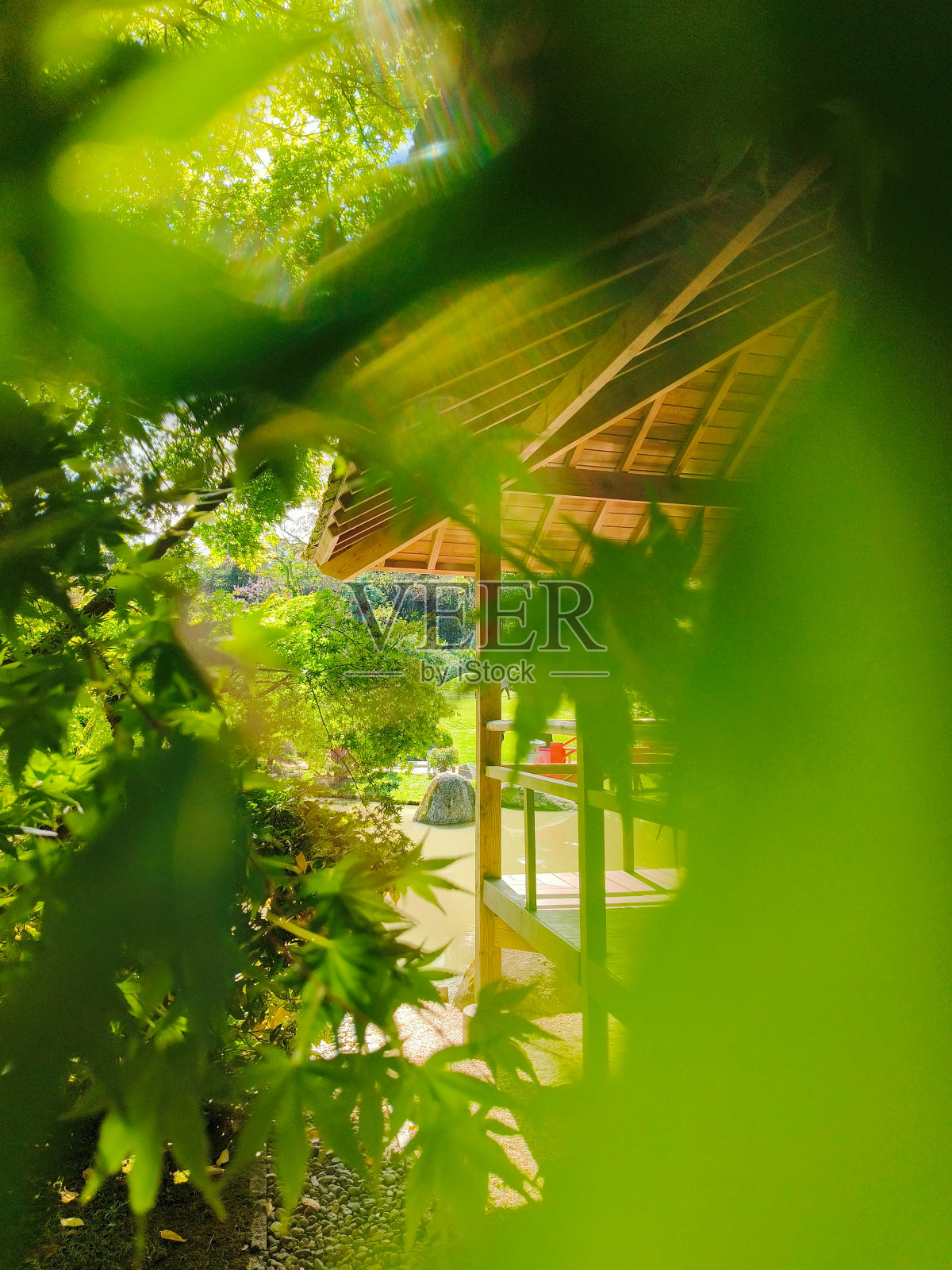 一个明媚的春天早晨,在图卢兹的日本花园亭子的木门廊的植被中,美丽的景色照片摄影图片