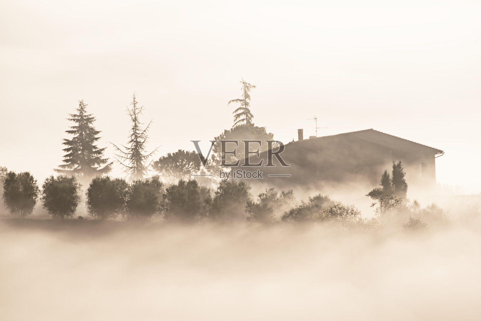 淹没在雾中照片摄影图片