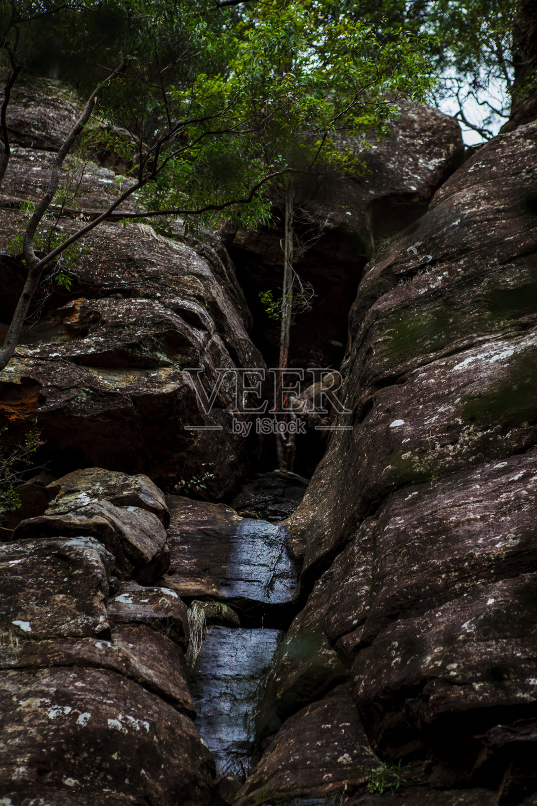 澳大利亚新南威尔士州蓝山国家公园的Wollangambe河/峡谷区照片摄影图片