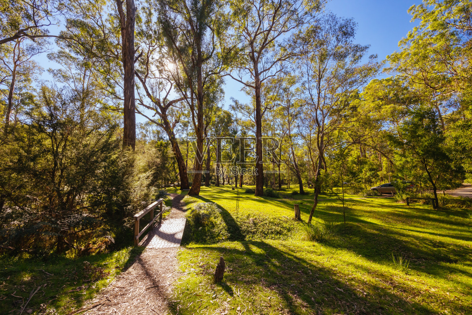 澳大利亚墨尔本的庞德湾保护区照片摄影图片