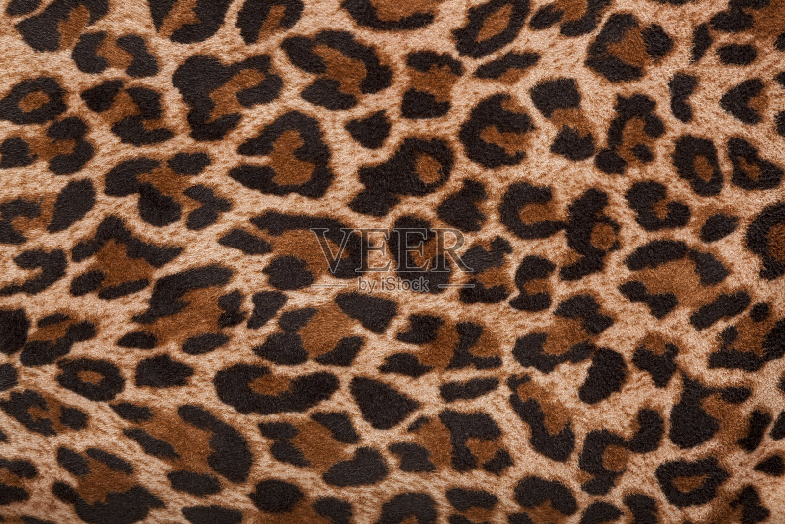 豹纹图案设计动物印花照片摄影图片