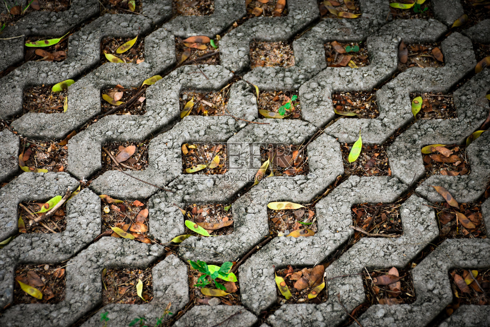 近景:用于场地和人行道设计的现代方形铺路砖或铺路石,混合了草和树叶。照片摄影图片