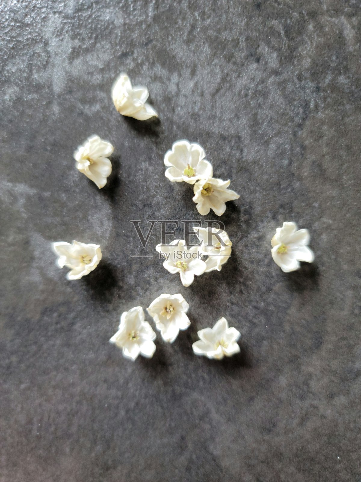 山谷里的莉莉照片摄影图片