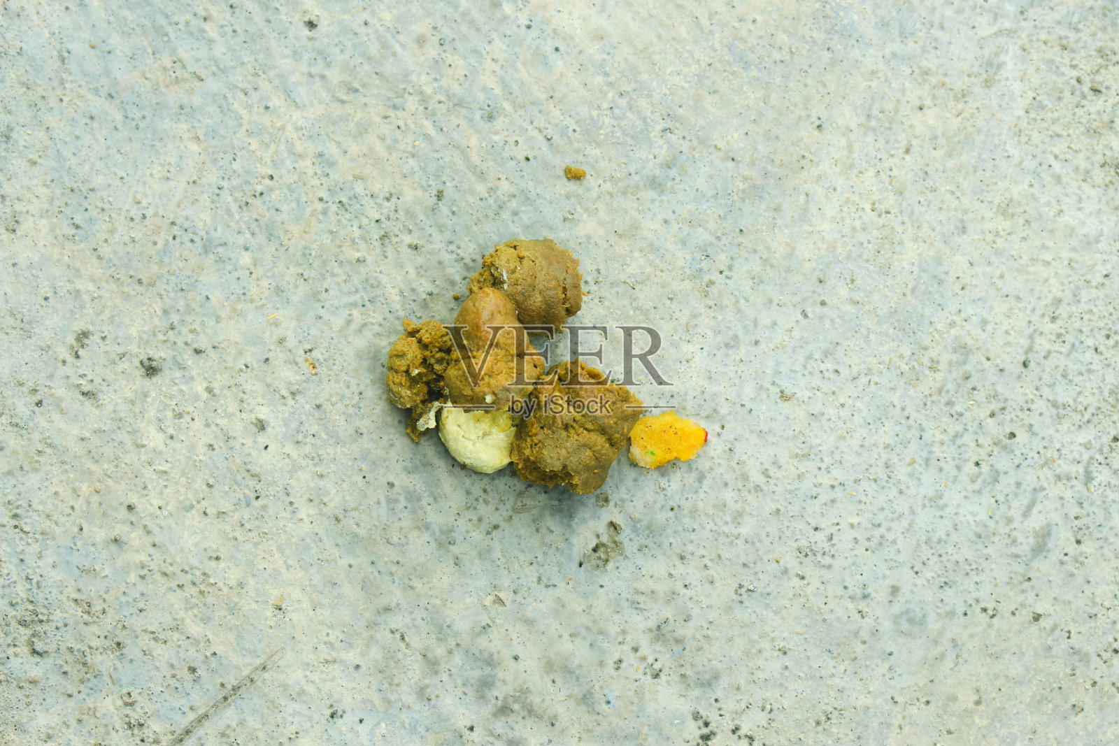 鸡粪照片摄影图片