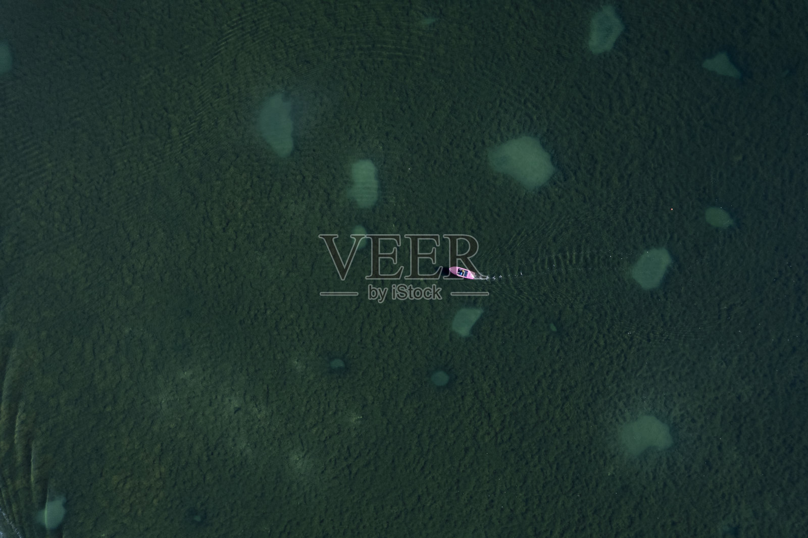 在湖上蹬船照片摄影图片