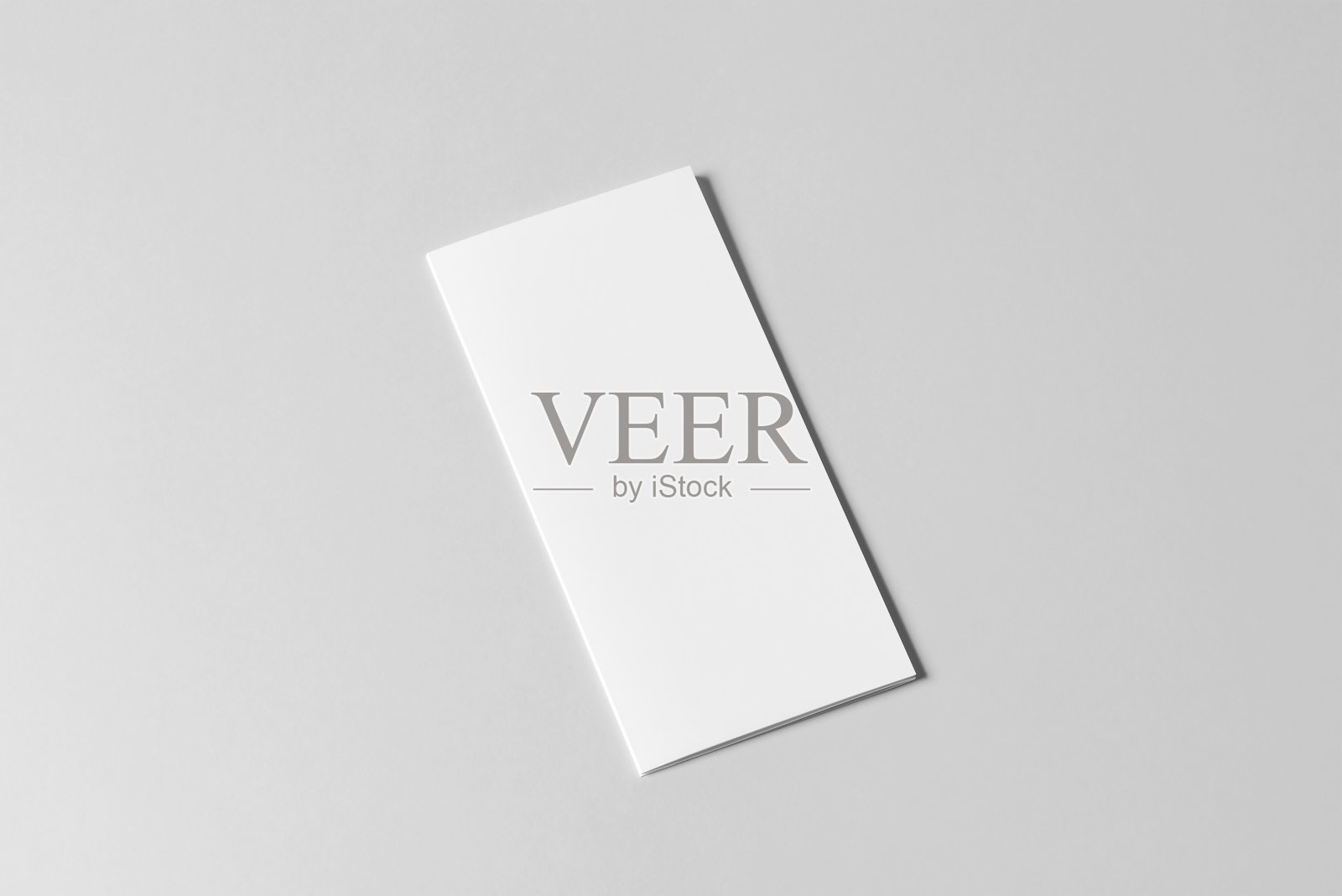 DL三折宣传册3D渲染照片摄影图片