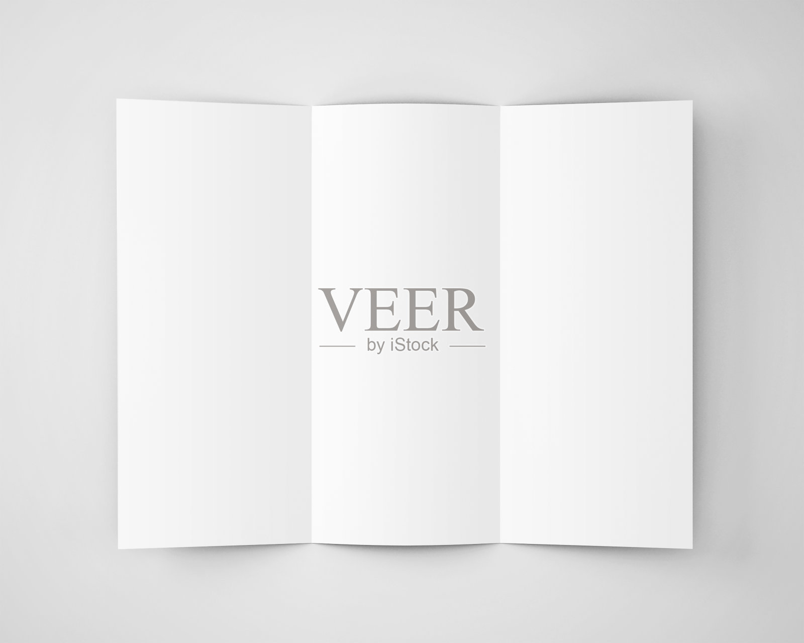 DL三折宣传册3D渲染照片摄影图片